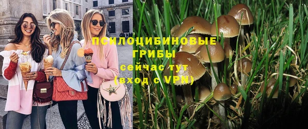амф Абинск