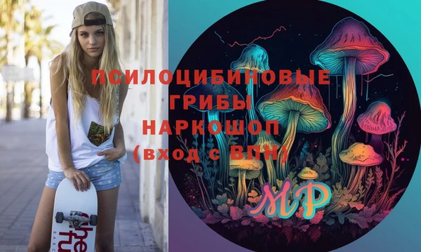 ПСИЛОЦИБИНОВЫЕ ГРИБЫ Абдулино