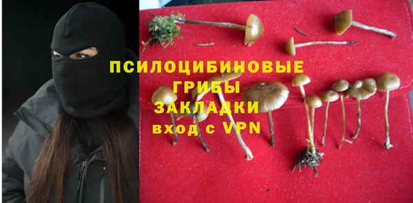 прущие крисы Алексеевка