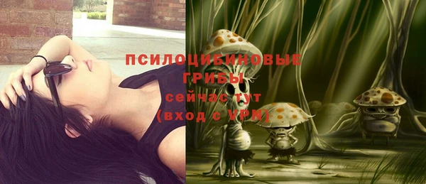 ПСИЛОЦИБИНОВЫЕ ГРИБЫ Абдулино