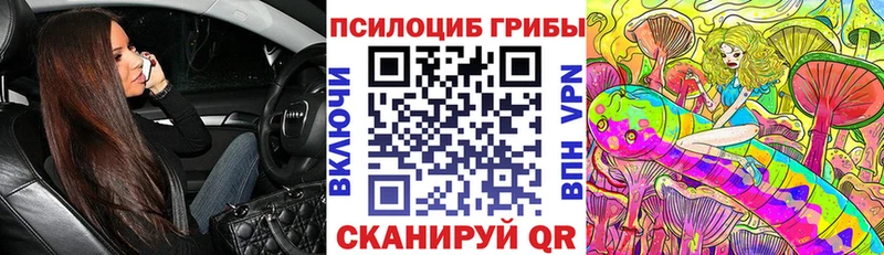 наркошоп  Инсар  Псилоцибиновые грибы GOLDEN TEACHER 
